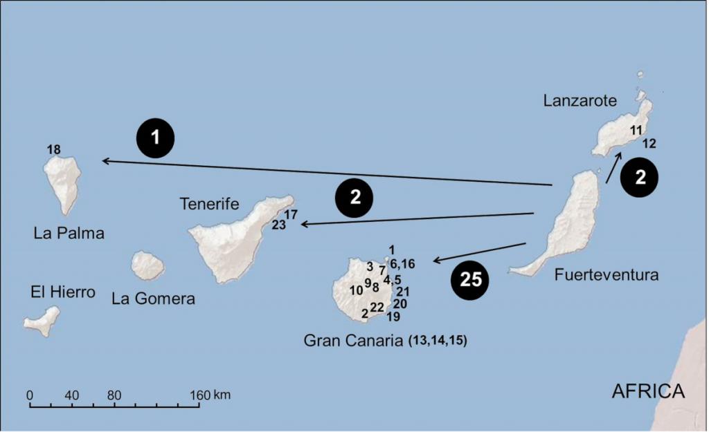 Fotos islas canarias