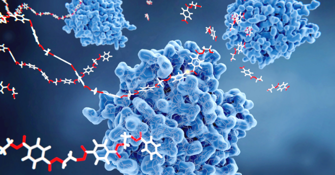 JAE Intro 2021 - Micelas poliméricas sensibles a un estímulo para liberación de fármacos