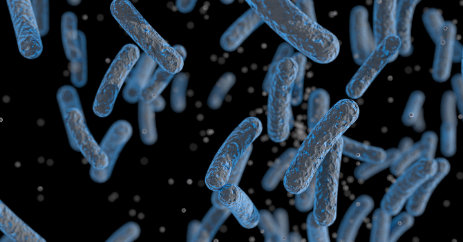JAE Intro 2021 - Síntesis y evaluación biológica de nuevos agentes antimicrobianos