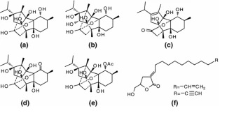 Supercritical extraction and supercritical antisolvent fractionation of natural products from plant material: Comparative results on Persea indica