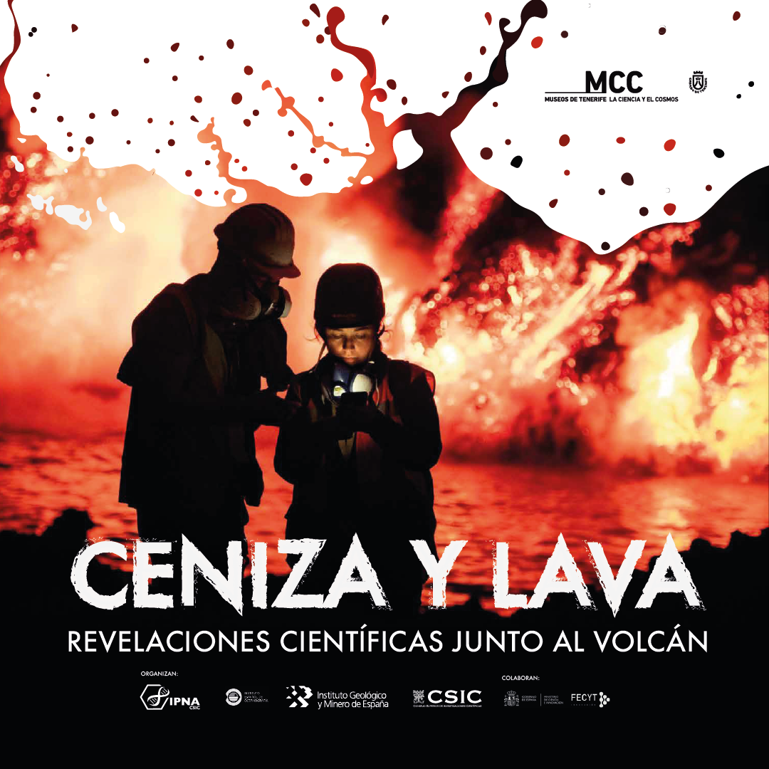 ceniza y lava IG