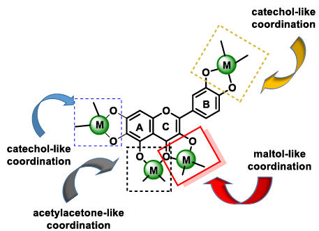 Antioxidant Metabolism Pathways in Vitamins, Polyphenols, and Selenium: Parallels and Divergences