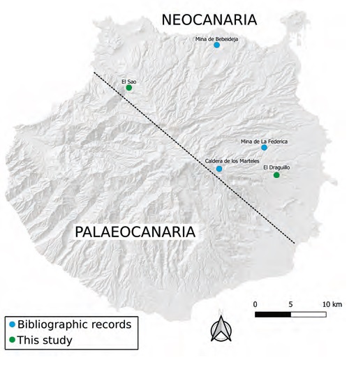 A new eyeless Poecilochroa Westring, 1874 (Araneae: Gnaphosidae) from Gran Canaria, Spain