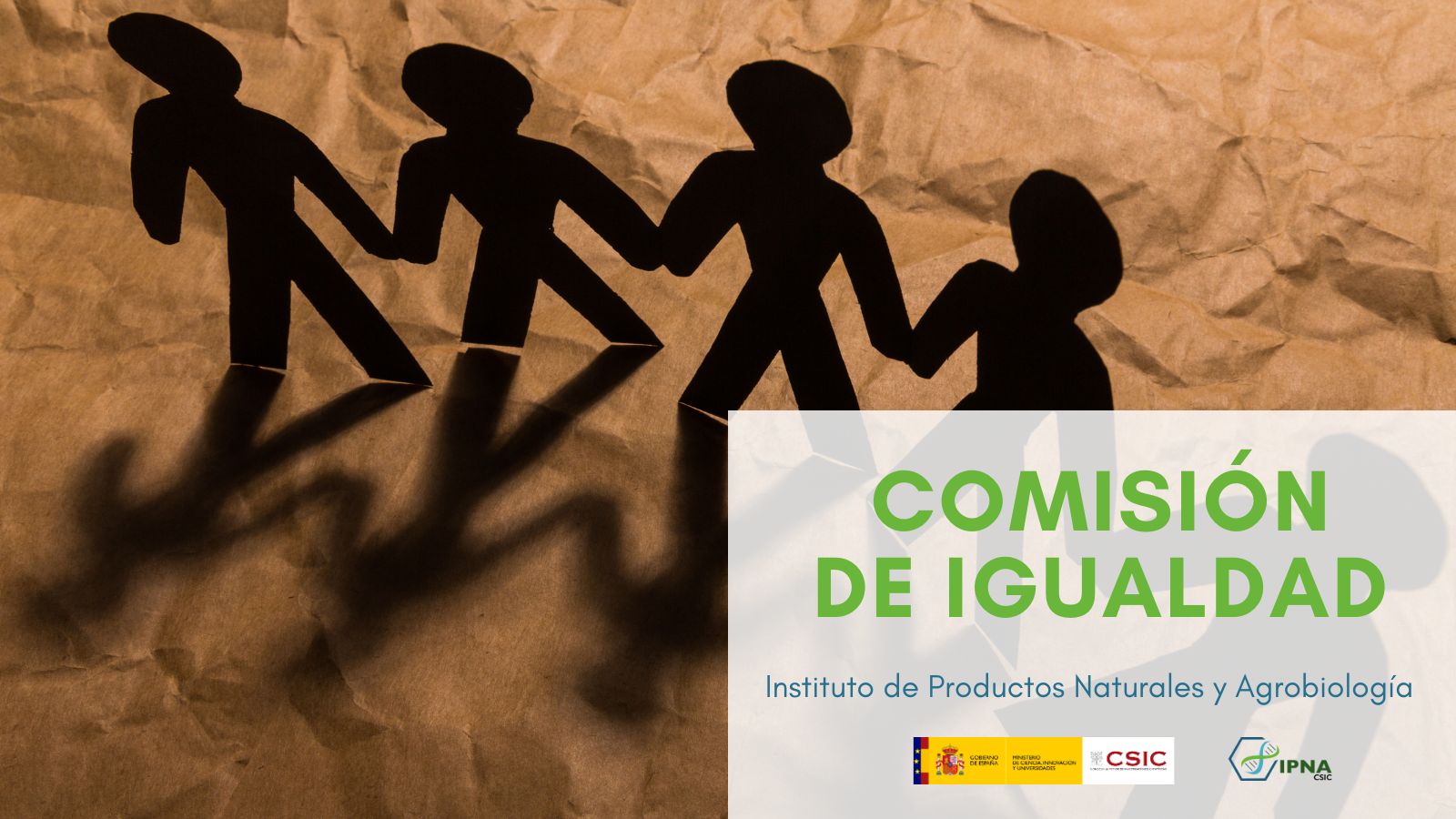 Comisión Igualdad IPNA