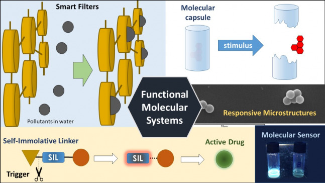 Sistemas Moleculares Funcionales