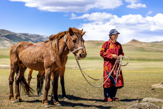 Estrategias de adaptación y explotación animal en sociedades del pasado a través de la etnoarqueología y la arqueología biomolecular BIOMARQ