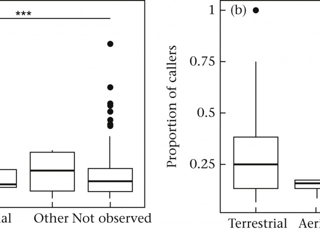 Group-enhanced predator detectio
