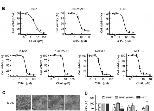 6′-Benzyloxy-4-bromo-2′-hydroxychalcone