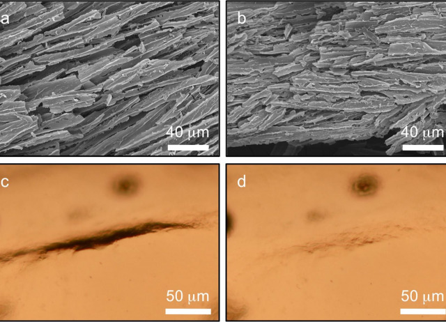 Polymer topology-controlled self-healing