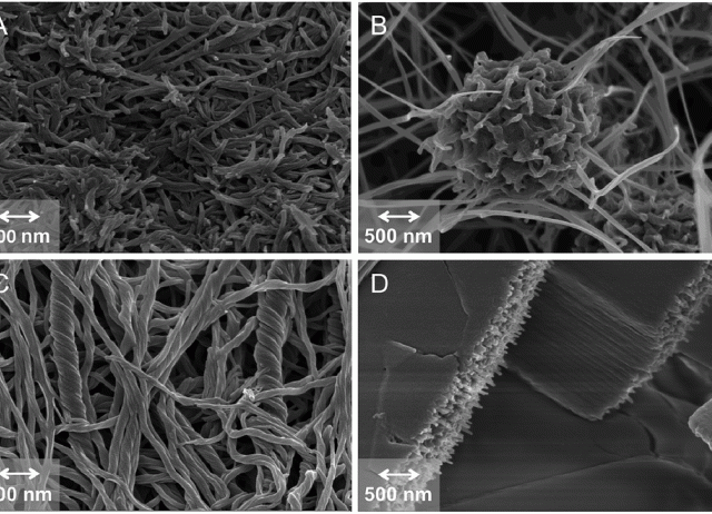 Expanding the limits of amide