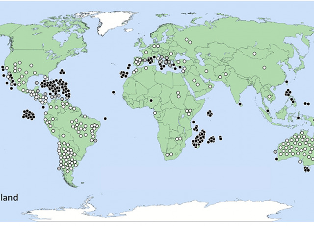 Frugivory and Seed Dispersal by Lizards