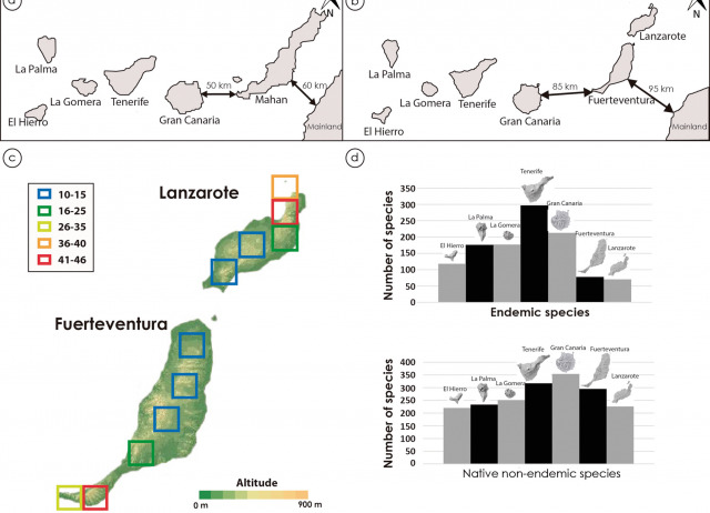 Pleistocene extinctions Canary Islands