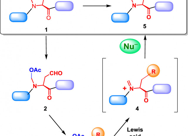 Conversion of  customizable Units