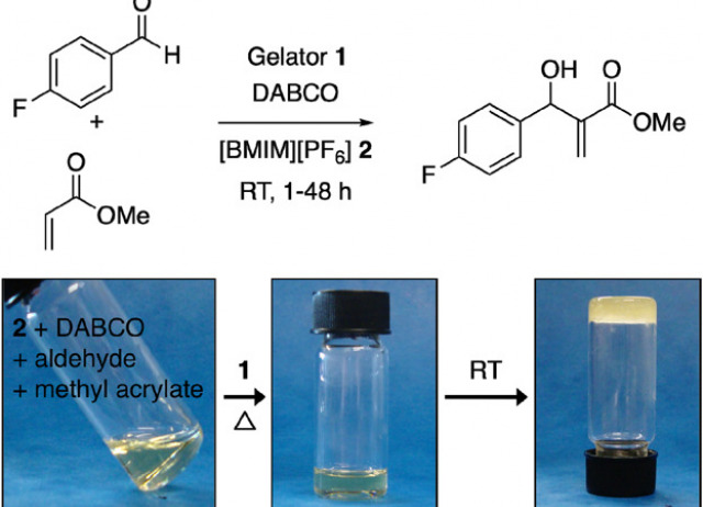A Preliminary Comparative Study