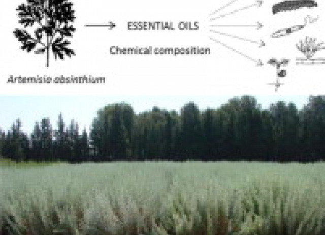 Chemical composition and biological