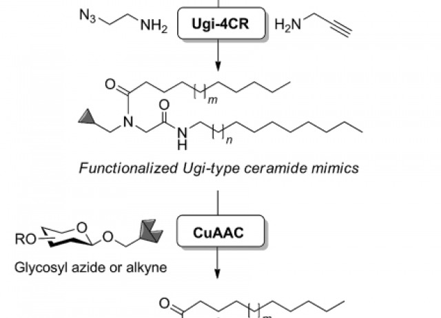 Combined Ugi‐4CR/CuAAC Approach