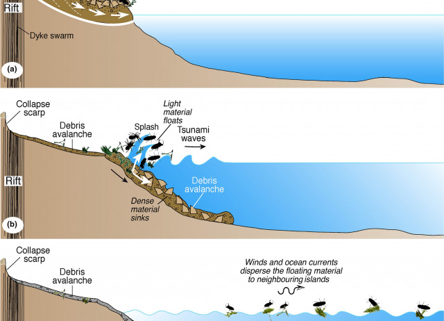 Evidence for mega‐landslides as drivers
