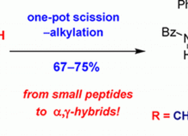 Synthesis of α,γ-Peptide Hybrids by Selective