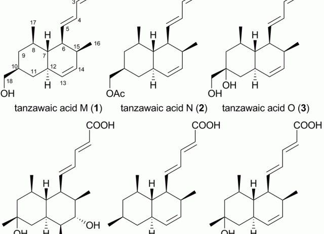 Tanzawaic acids isolated from a marine-derived fungus