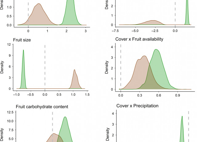 Behavioural complementarity among frugivorous birds