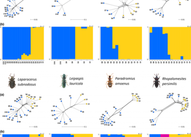 Climate drives community-wide divergence