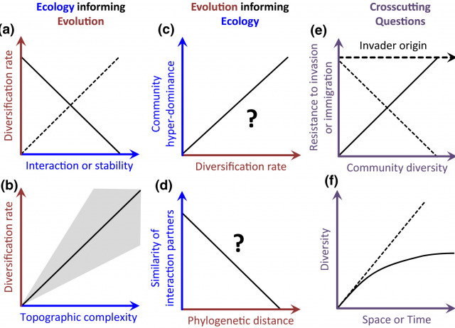 Unifying macroecology and macroevolution