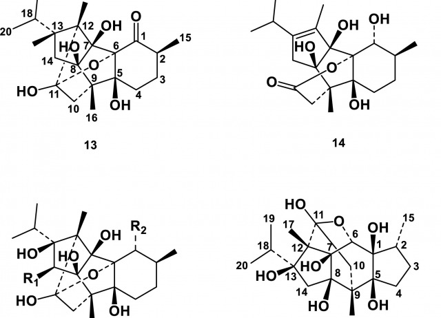 Alkane-, alkene-, alkyne-γ-lactones and ryanodane diterpenes from aeroponically grown Persea indica roots