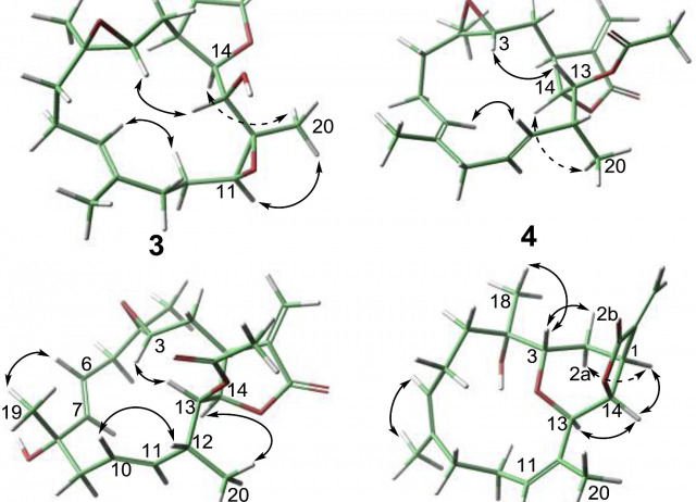 Cembranoids from Eunicea sp. enhance insulin-producing cells proliferation