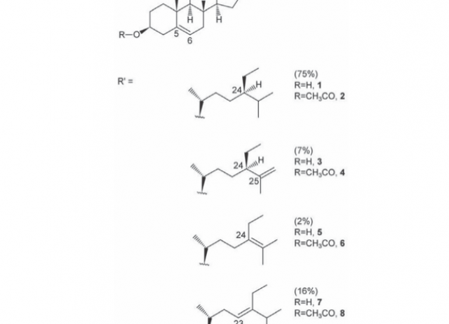 Chemical constituents derived from the canaries marine sponge Myxilla sp.