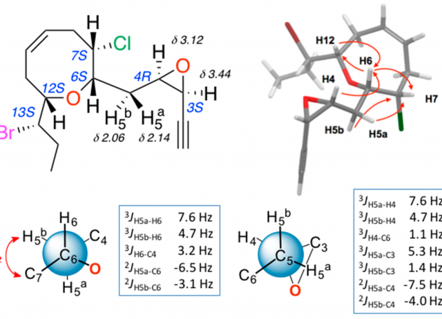 Pinnatifidenyne-Derived Ethynyl Oxirane Acetogenins from Laurencia viridis
