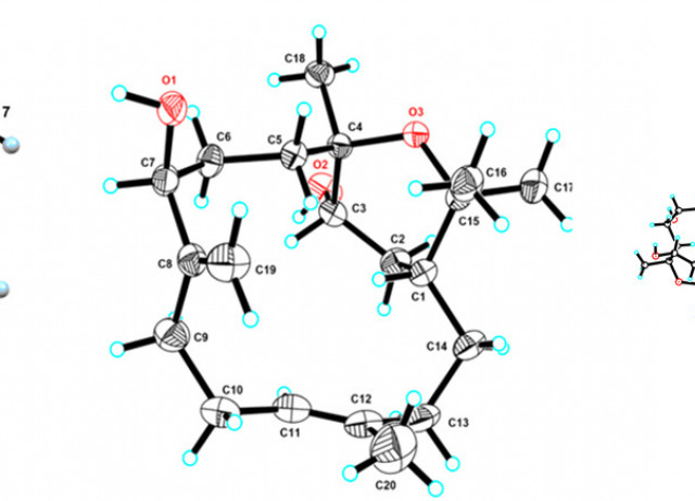 Quantum Mechanical NMR