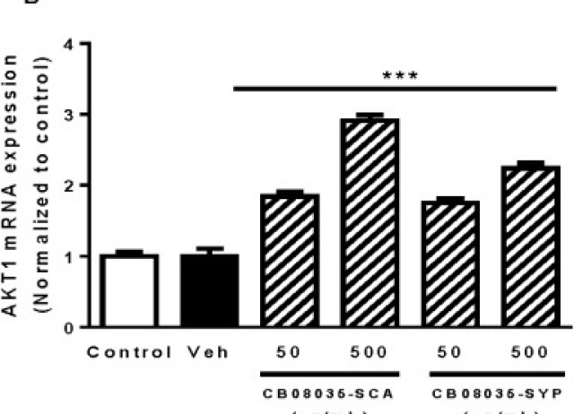 Protective effects of culture extracts (CB08035-SCA and CB08035-SYP) from Marinobacter hydrocarbonoclasticus (strain CB08035) against oxidant-induced stress in human colon carcinoma Caco-2 cells