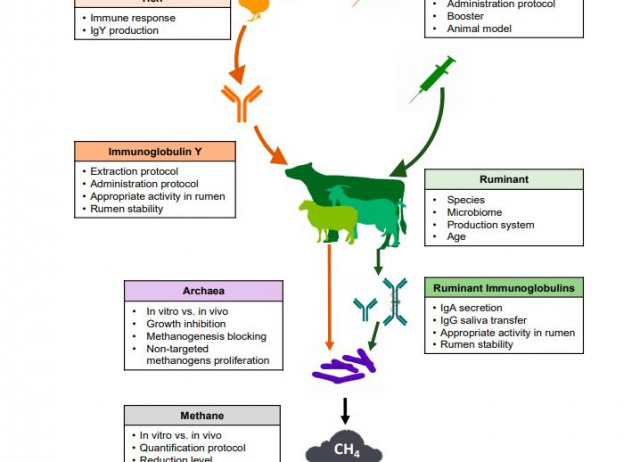 Are Vaccines the Solution for Methane Emissions from Ruminants? A Systematic Review