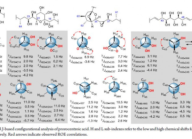 Prorocentroic Acid, a Neuroactive Super-Carbon-Chain Compound from the Dinoflagellate Prorocentrum hoffmannianum