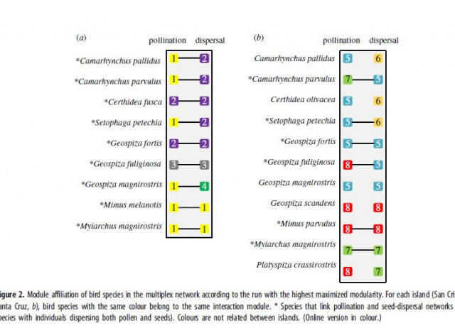 Species functional traits and abundance as drivers of multiplex ecological networks: first empirical quantification of inter-layer edge weights