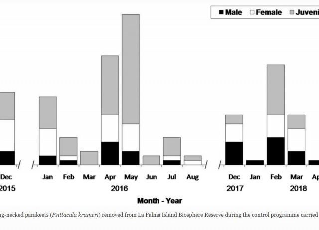 Control of invasive ring-necked parakeet (Psittacula krameri) in an island Biosphere Reserve (La Palma, Canary Islands): combining methods and social engagement