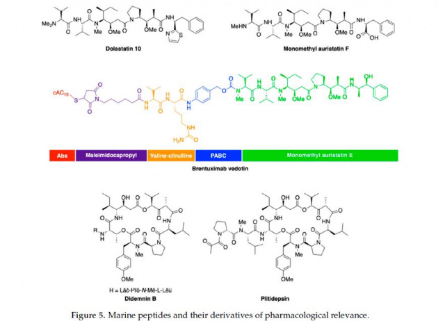 Marine Anticancer Agents: An Overview with a Particular Focus on Their Chemical Classes