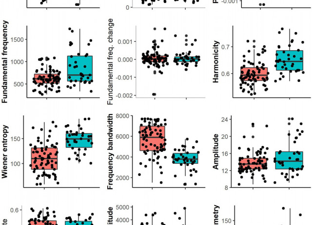 Cryptic differentiation in the Manx Shearwater hinders the identification of a new endemic subspecies