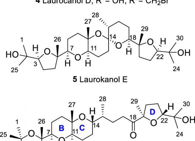 Structure and Computational Basis for Backbone Rearrangement in Marine Oxasqualenoids
