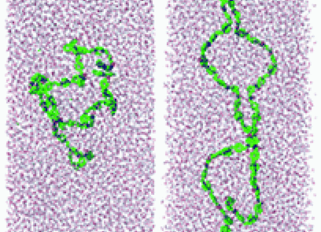 Understanding hydrogelation processes through molecular dynamics