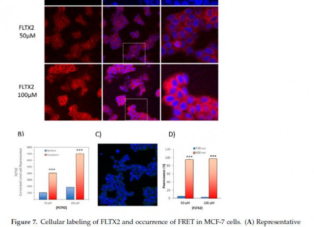 settings Open AccessArticle FLTX2: A Novel Tamoxifen Derivative Endowed with Antiestrogenic, Fluorescent, and Photosensitizer Properties