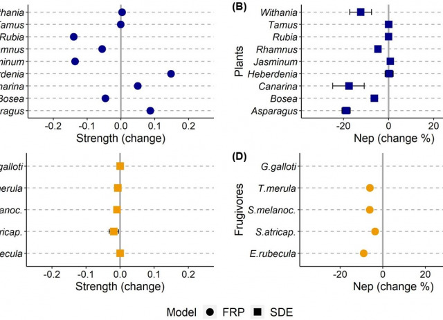 Changes in the structure of seed dispersal networks when including interaction outcomes from both plant and animal perspectives