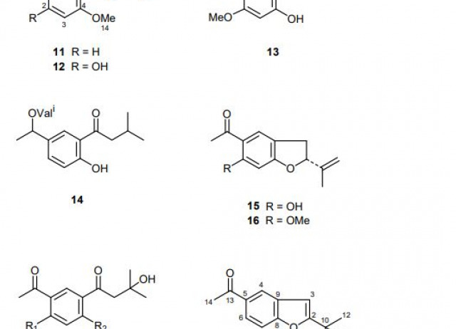 Sesquiterpene Lactones from Artemisia absinthium. Biotransformation and Rearrangement of the Insect Antifeedant 3α-hydroxypelenolide