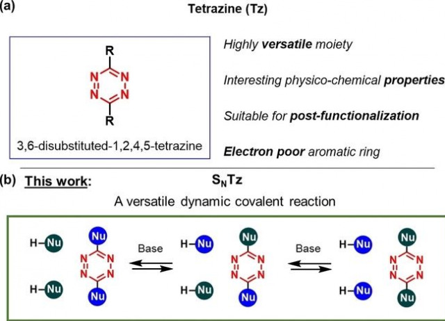 Dynamic Nucleophilic Aromatic Substitution of Tetrazines