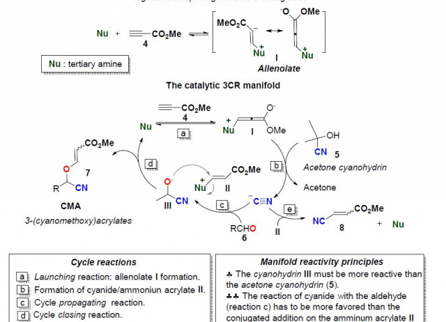 Cyanovinylation of Aldehydes: Organocatalytic Multicomponent Synthesis of Conjugated Cyanomethyl Vinyl Ethers