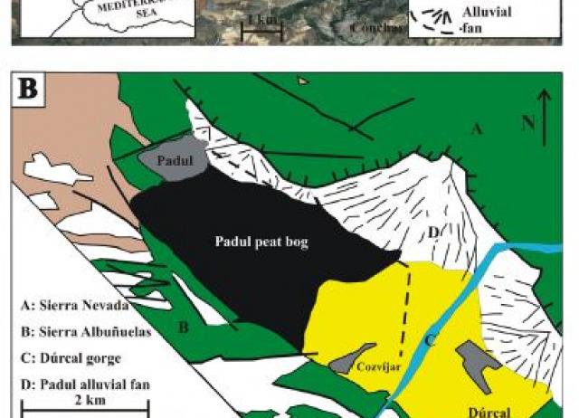 Bulk and compound-specific δ13C and n-alkane indices in a palustrine intermontane record for assessing environmental changes over the past 320 ka: the Padul Basin (Southwestern Mediterranean realm)