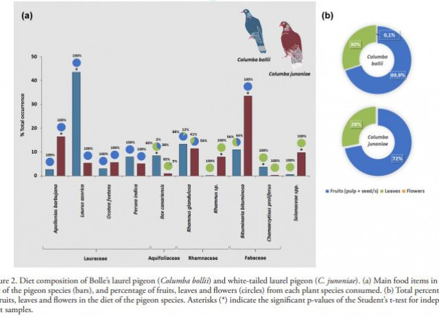 Trophic strategies of two sympatric endemic pigeons in insular ecosystems: a framework for understanding spatiotemporal frugivory interactions
