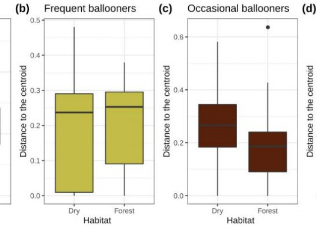 Habitat filtering and dispersal ability determine across-scale community turnover and rarity in Macaronesian island spider communities