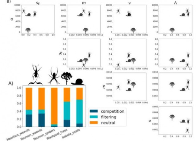 A unified model of species abundance, genetic diversity, and functional diversity reveals the mechanisms structuring ecological communities