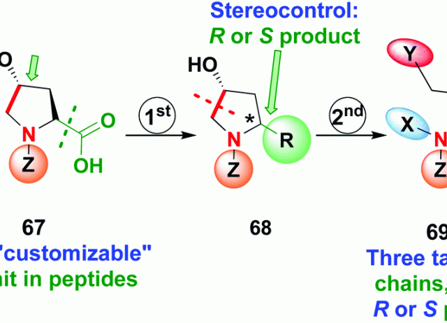 Site-selective modification of peptide backbones